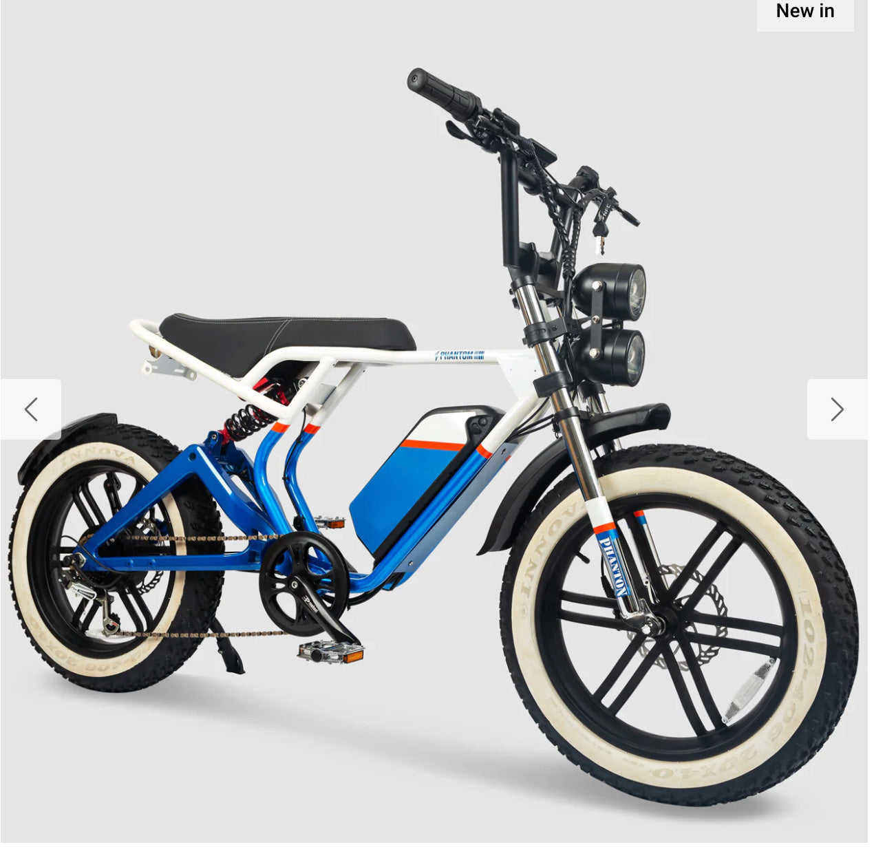 G9 FAT TIRE EBIKE